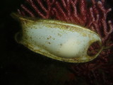 img0002.jpg