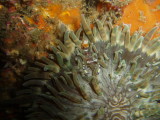 img0003.jpg
