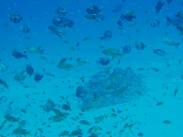 img0000.jpg