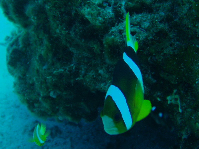img0001.jpg