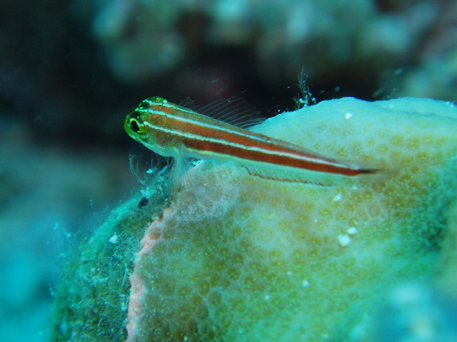 img0004.jpg