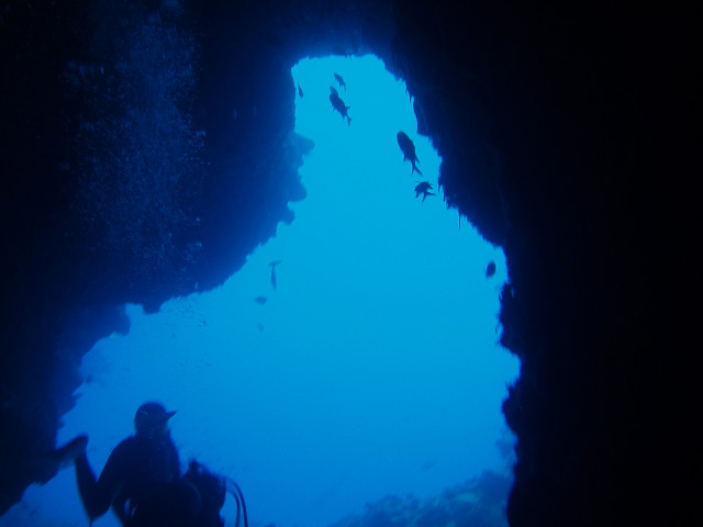 img0008.jpg