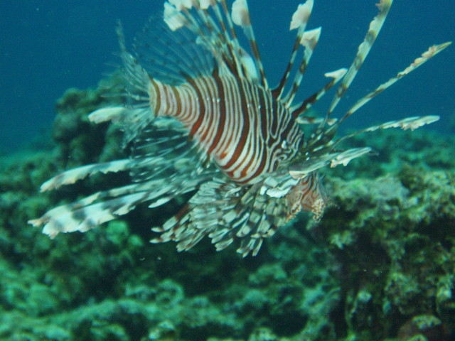 img0012.jpg