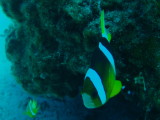 img0001.jpg