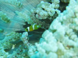img0002.jpg