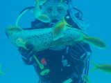 img0003.jpg