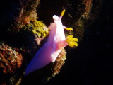 img0007.jpg