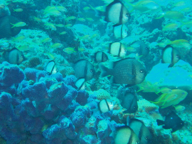img0002.jpg