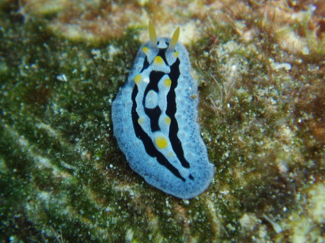 img0004.jpg