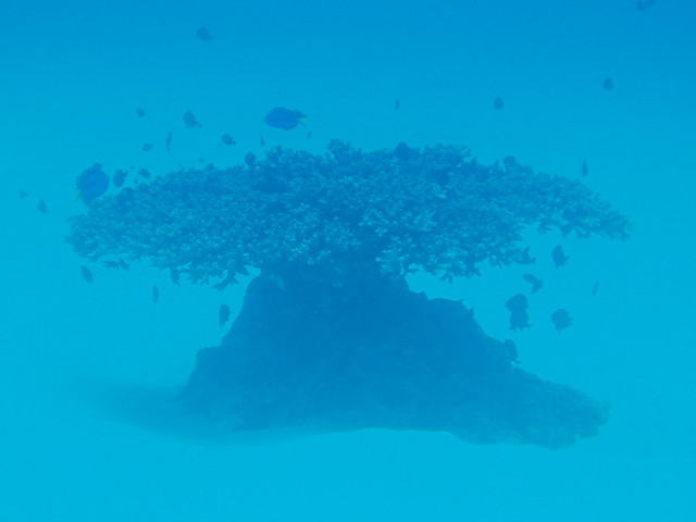 img0013.jpg