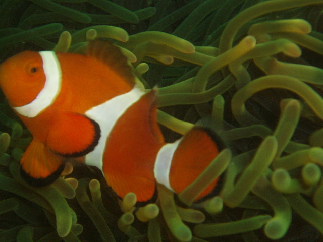 img0019.jpg