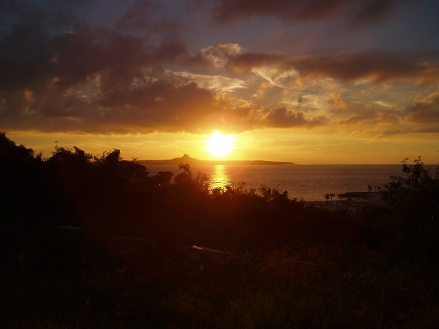img0021.jpg