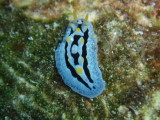 img0004.jpg
