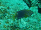 img0008.jpg