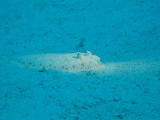 img0011.jpg