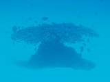 img0013.jpg