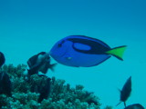 img0014.jpg