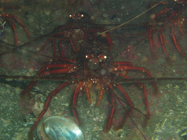 img0002.jpg