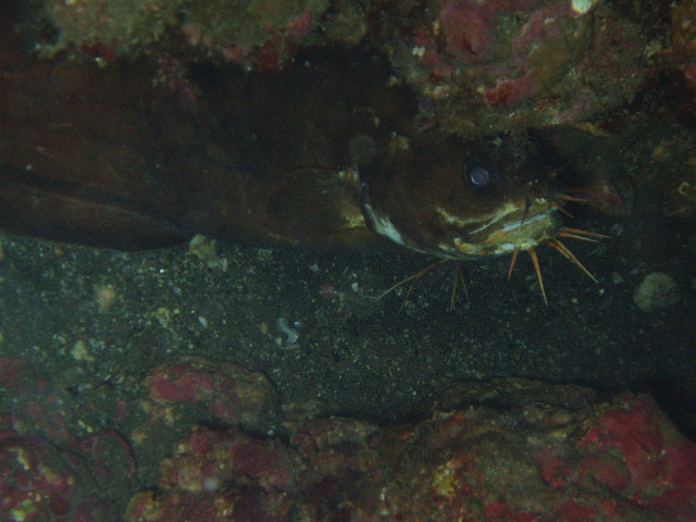 img0004.jpg