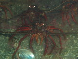 img0002.jpg