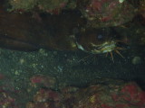 img0004.jpg