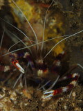 img0006.jpg
