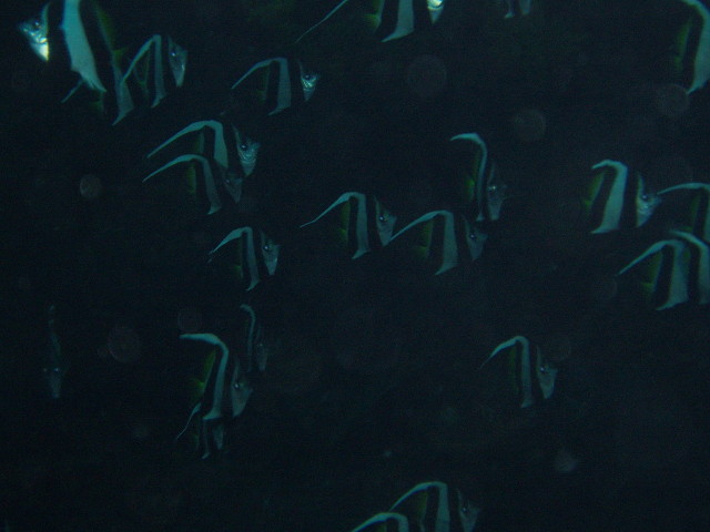 img0000.jpg