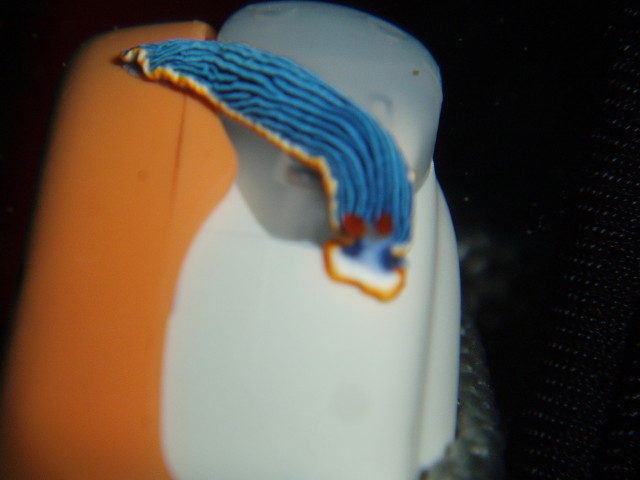 img0004.jpg