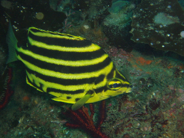 img0008.jpg