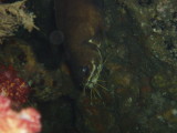 img0002.jpg