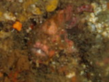 img0006.jpg