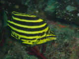 img0008.jpg