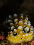 img0011.jpg