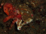 img0012.jpg