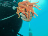 img0013.jpg