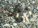 img0004.jpg