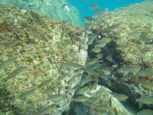 img0000.jpg