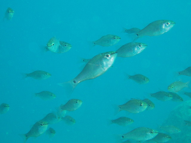 img0002.jpg