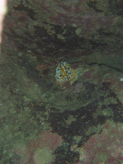 img0006.jpg