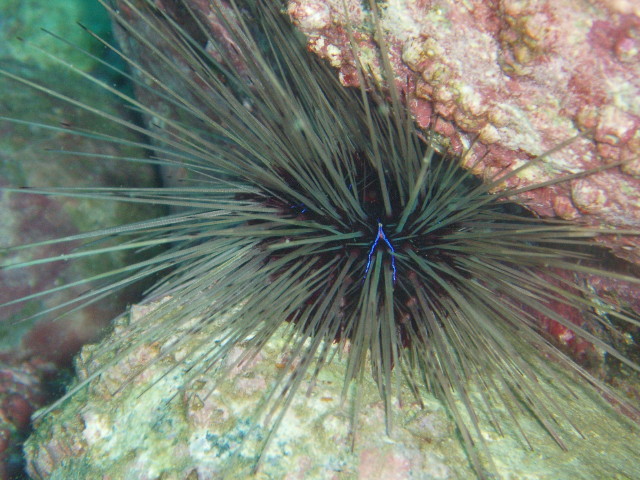 img0007.jpg