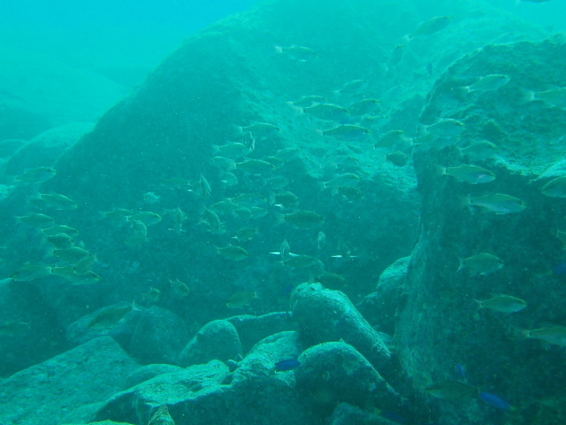 img0010.jpg