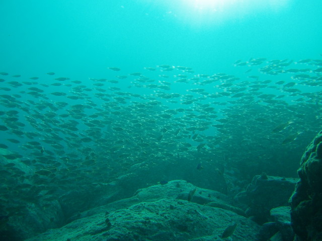 img0012.jpg