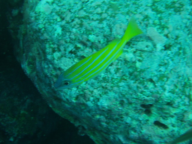 img0013.jpg