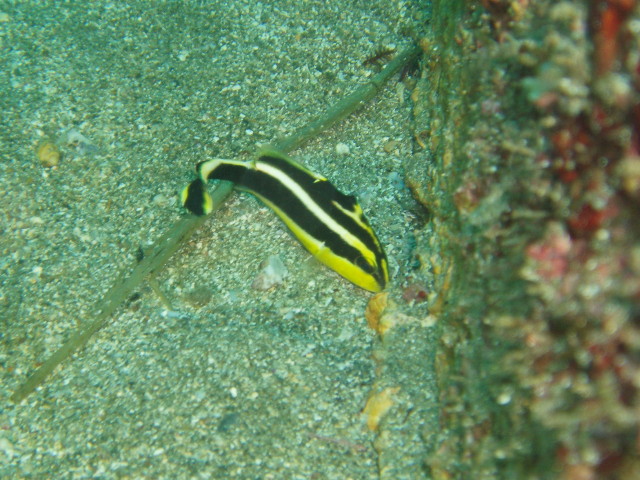 img0015.jpg