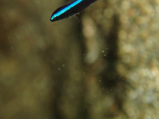 img0020.jpg