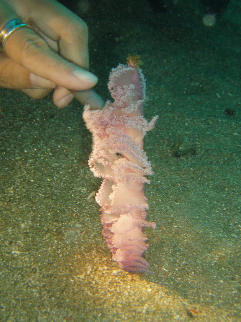 img0023.jpg