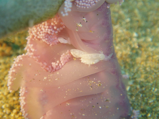 img0024.jpg