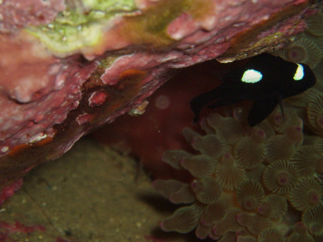 img0025.jpg
