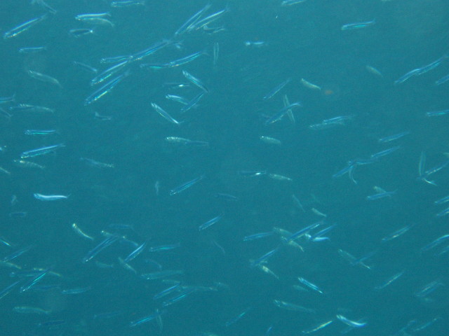img0026.jpg