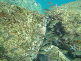 img0000.jpg